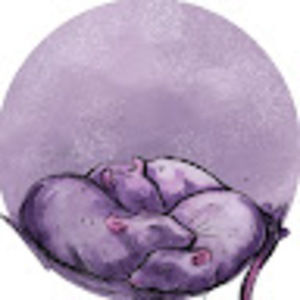 Meet your Posher, 7et